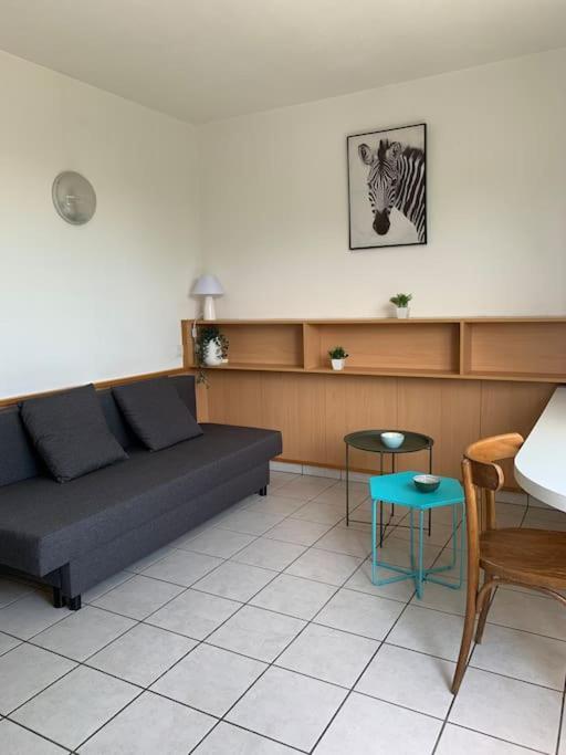 Studio Bourran + Parking Родез Екстериор снимка